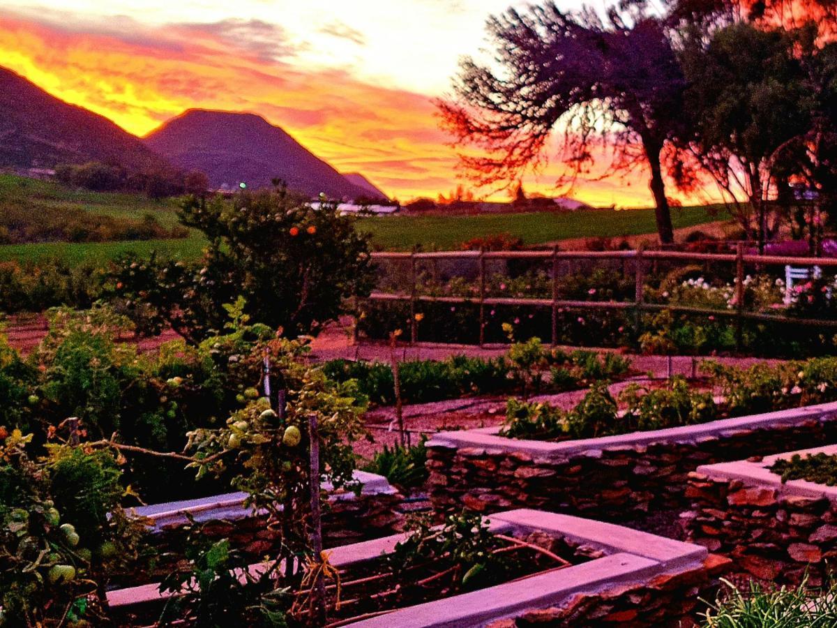 Pjure Boutique Hotel & Spa Montagu Esterno foto