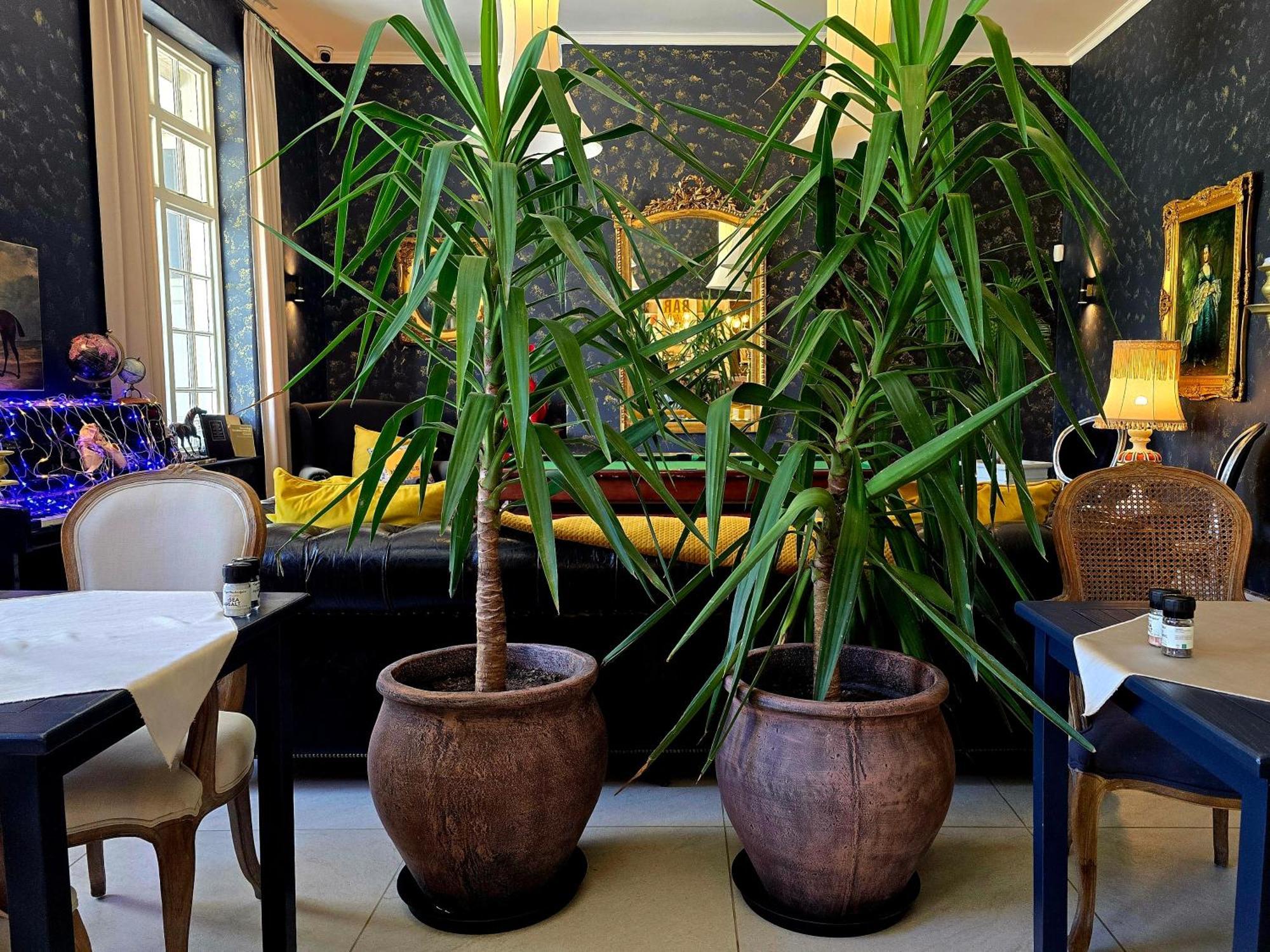 Pjure Boutique Hotel & Spa Montagu Esterno foto